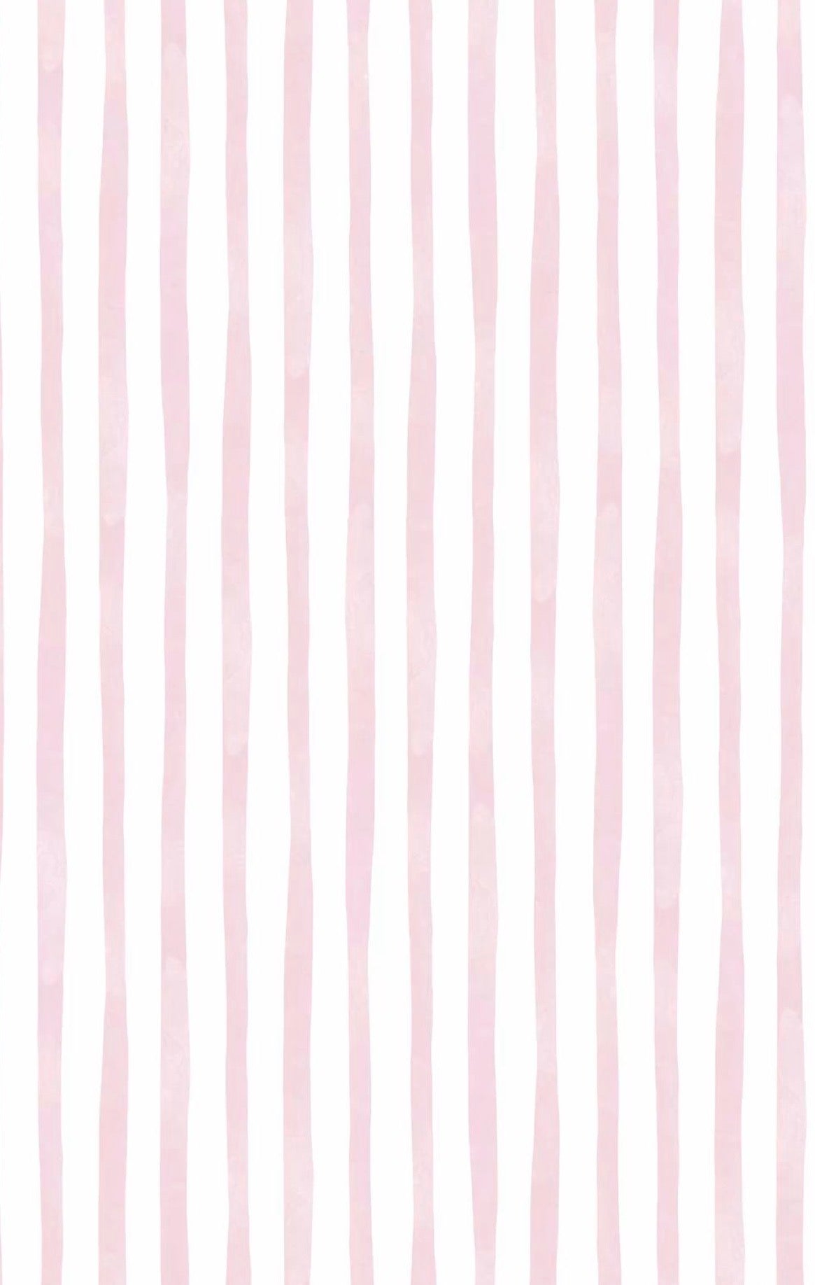 Bottoms/ Jeans/ Shorts