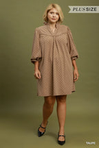 Curvy Taupe Corduroy Dress