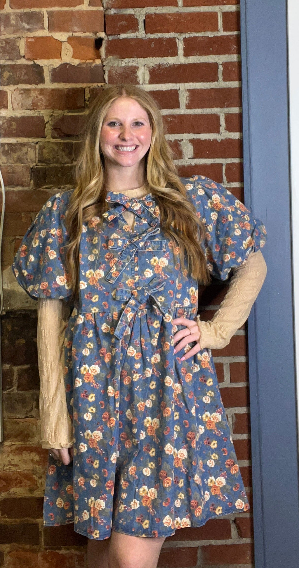 Denim Floral Bow Front Dress