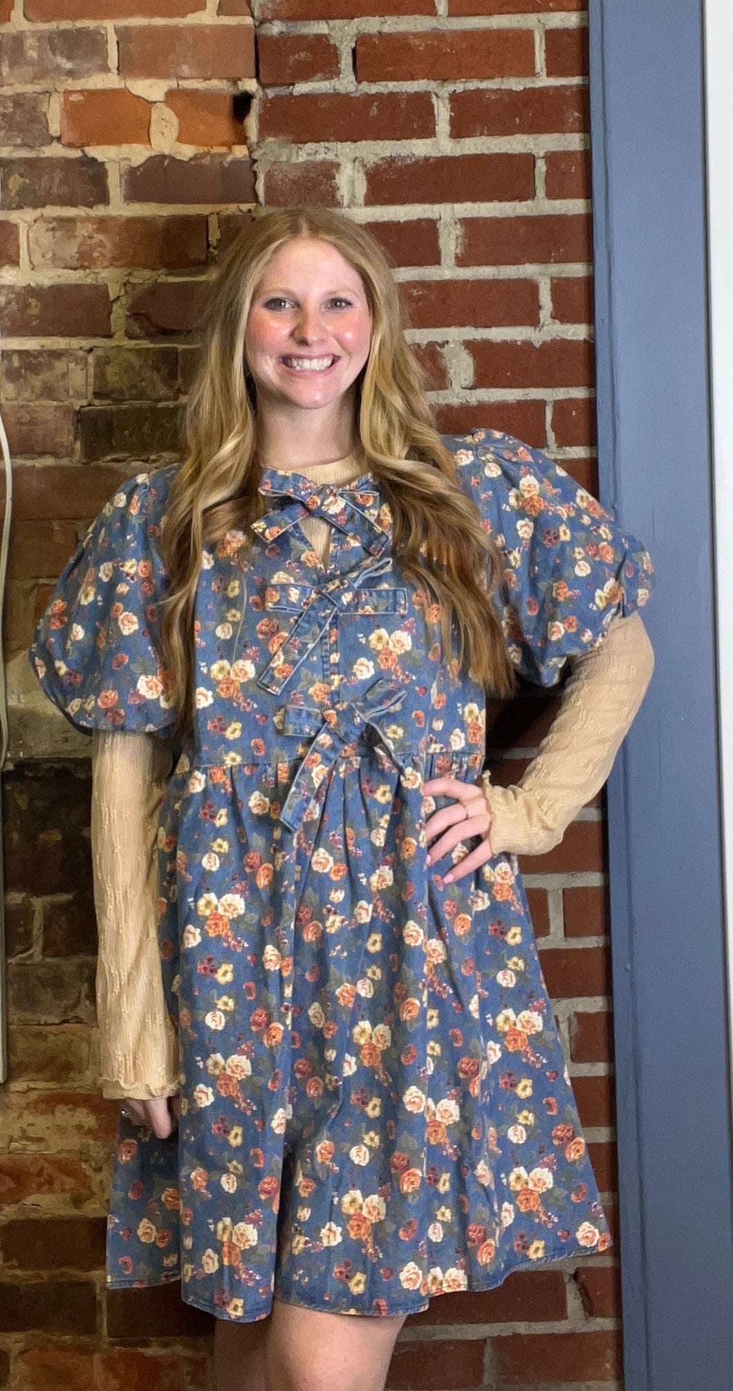 Denim Floral Bow Front Dress