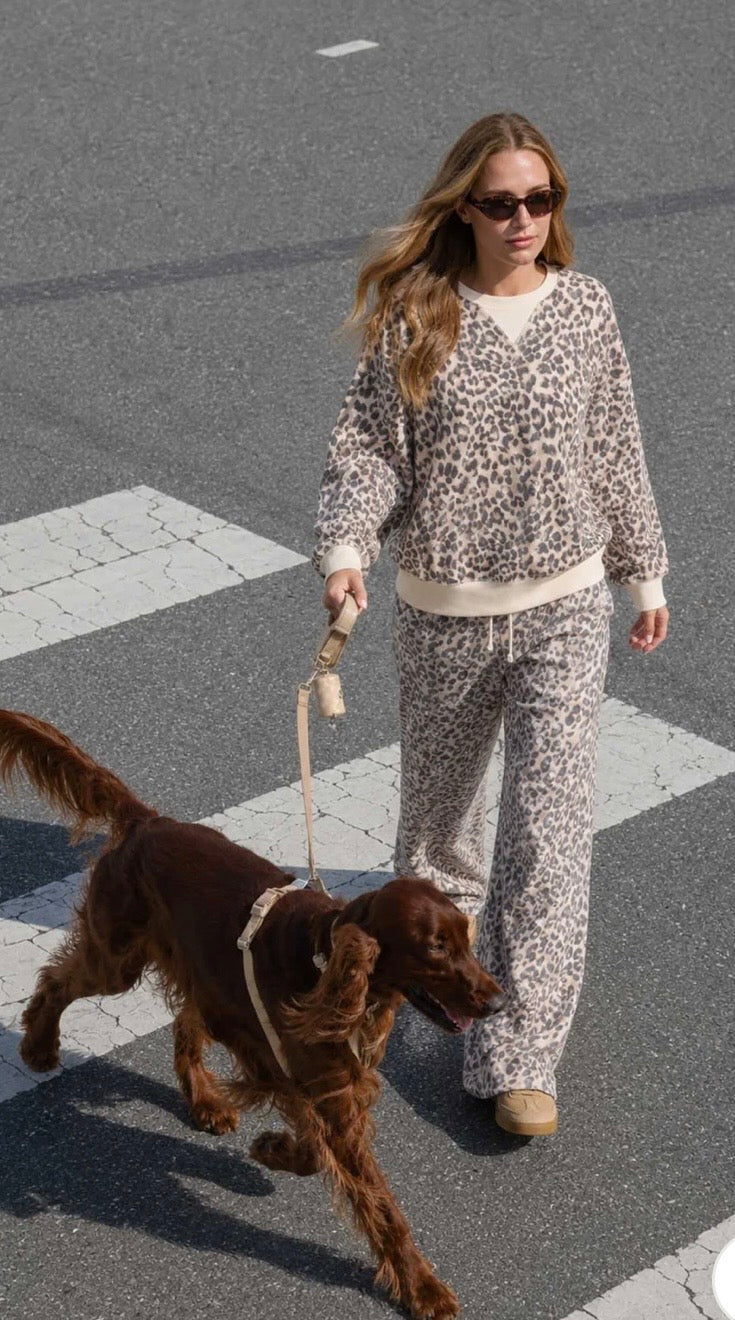 Leopard Pant Set