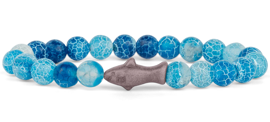 Shark Aqua Blue