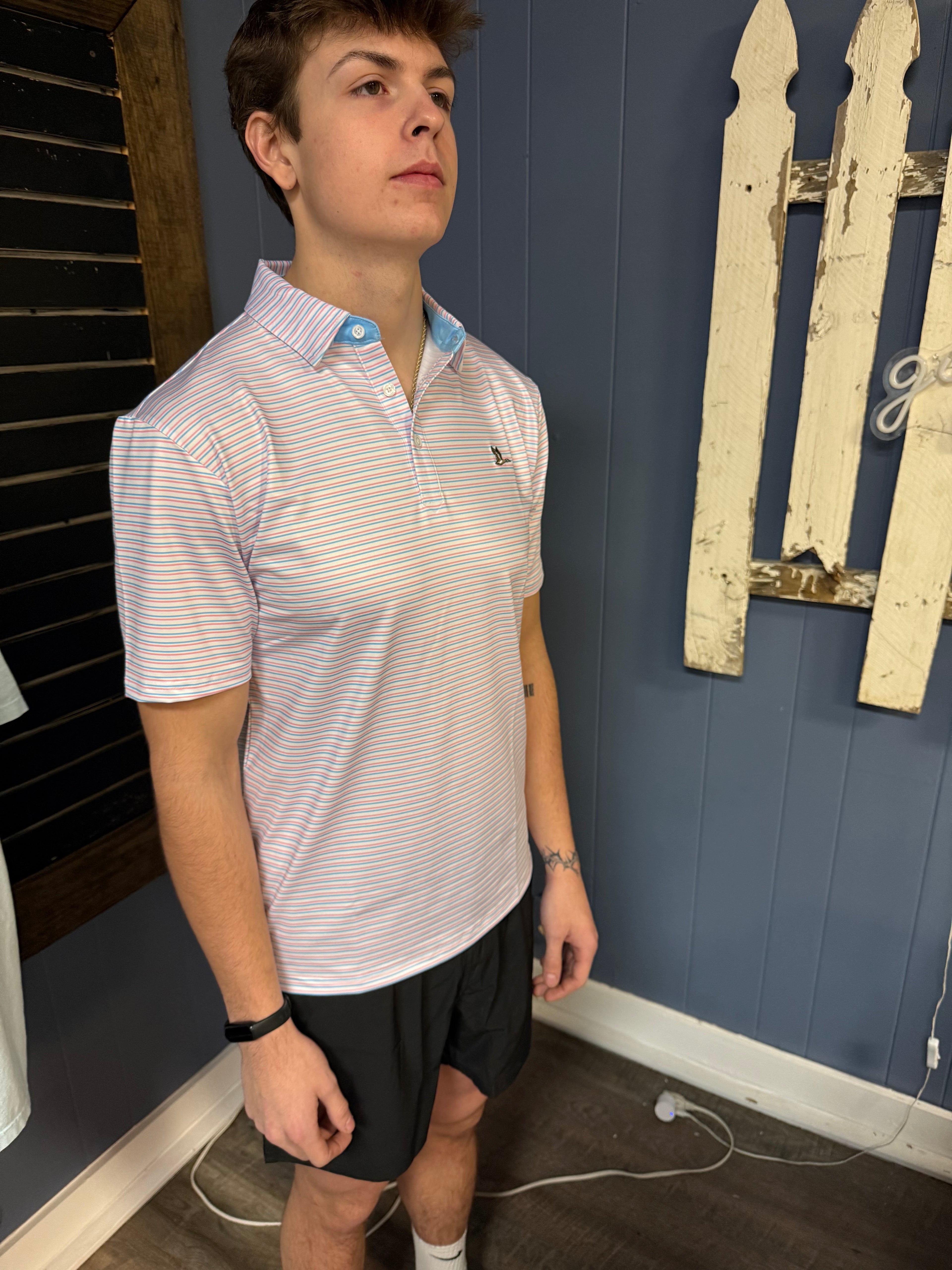 Roost Cayuga Polo Pink/Blue