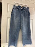 Curvy High Rise Jeans