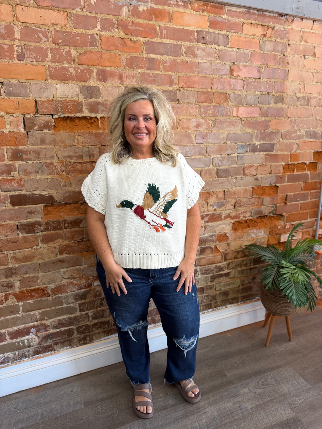 Duck Graphic Short Sleeve Sweater