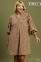 Curvy Taupe Corduroy Dress