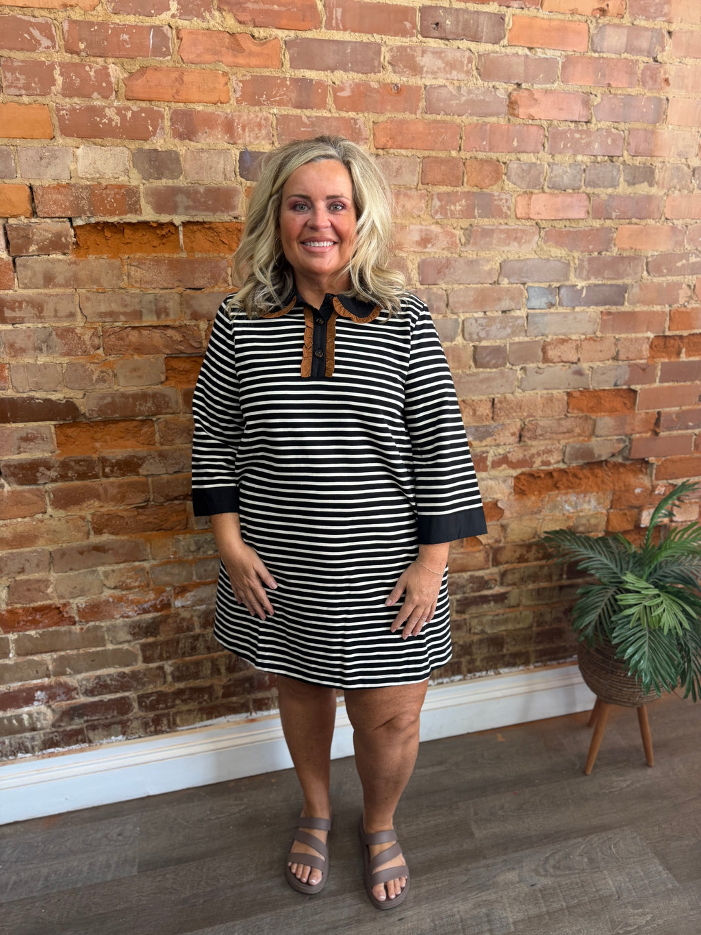 Taupe/Black Stripe Dress
