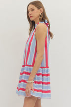 Blue & Red Vertical Striped Dress
