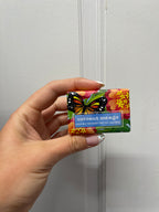 Coconut Mango Soap