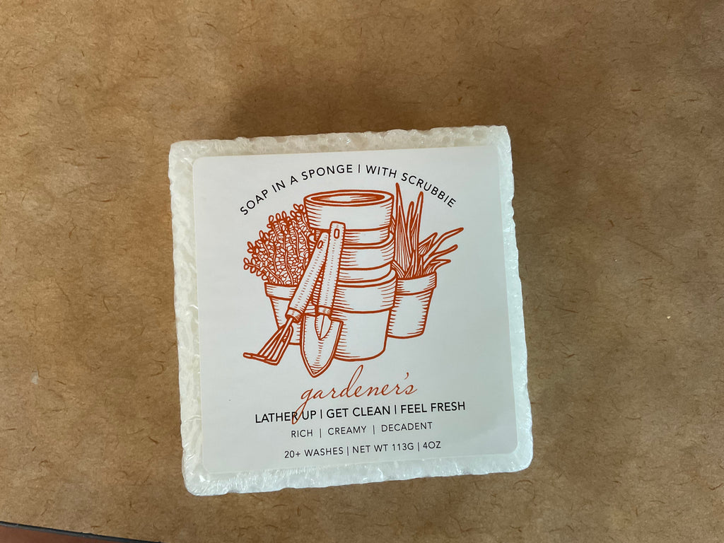 Soap In a Sponge
